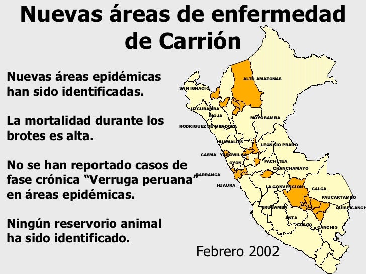 bartonelosis peru